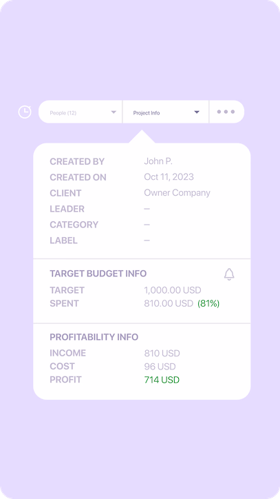 monitor-project-budget