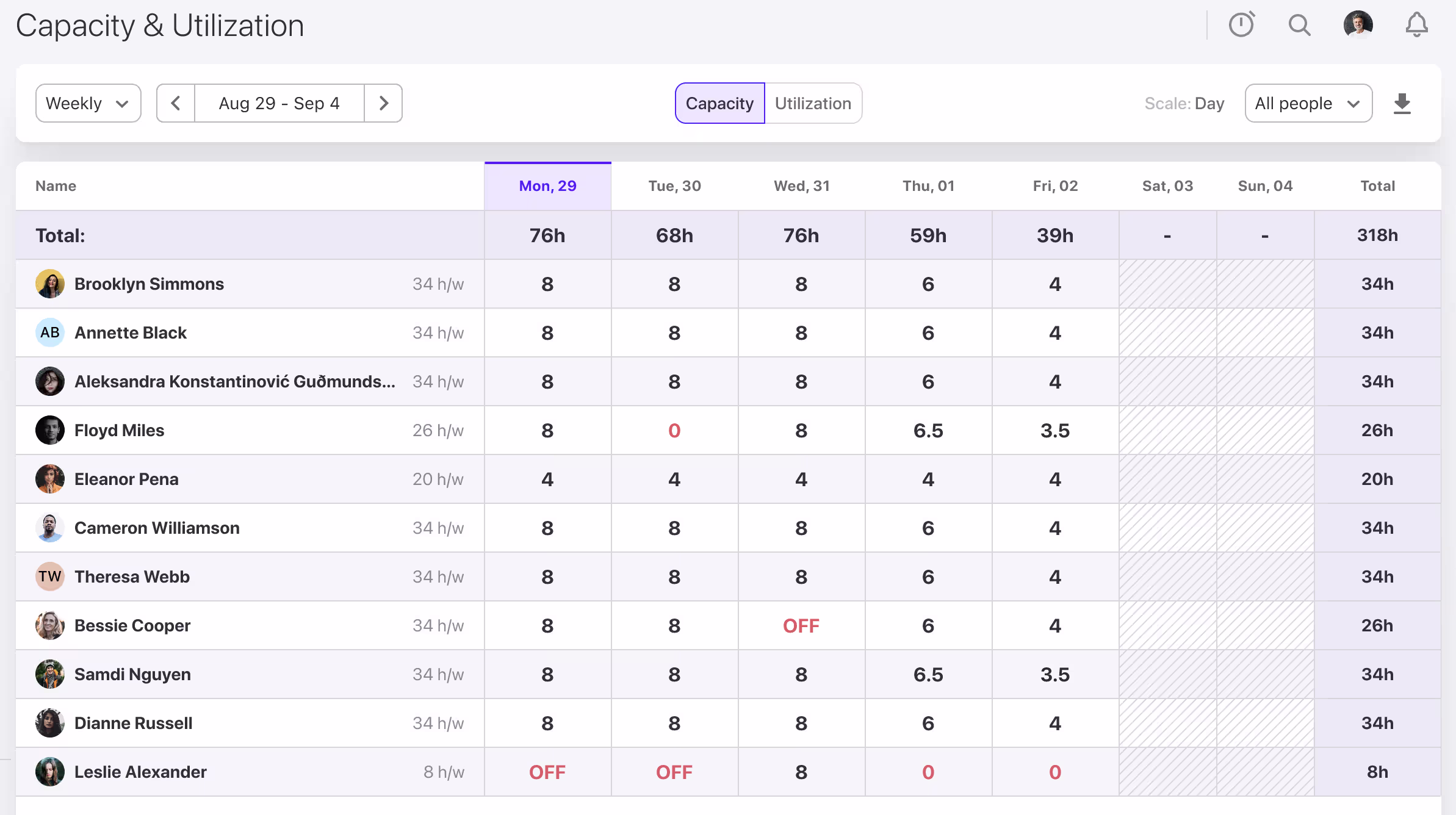 ActiveCollab Employee Capacity