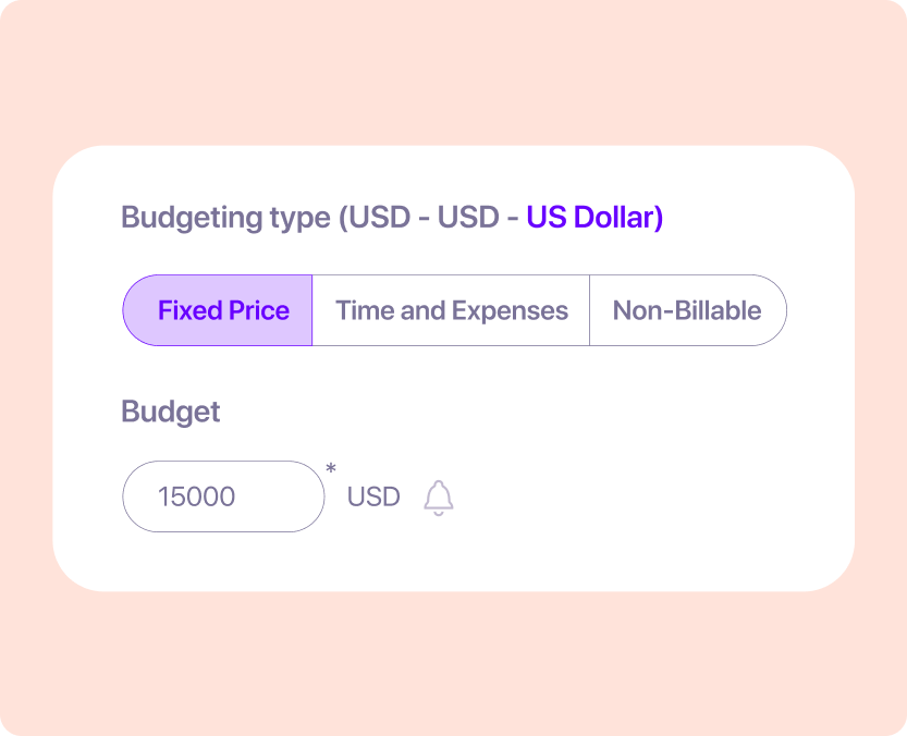 budgeting type choice